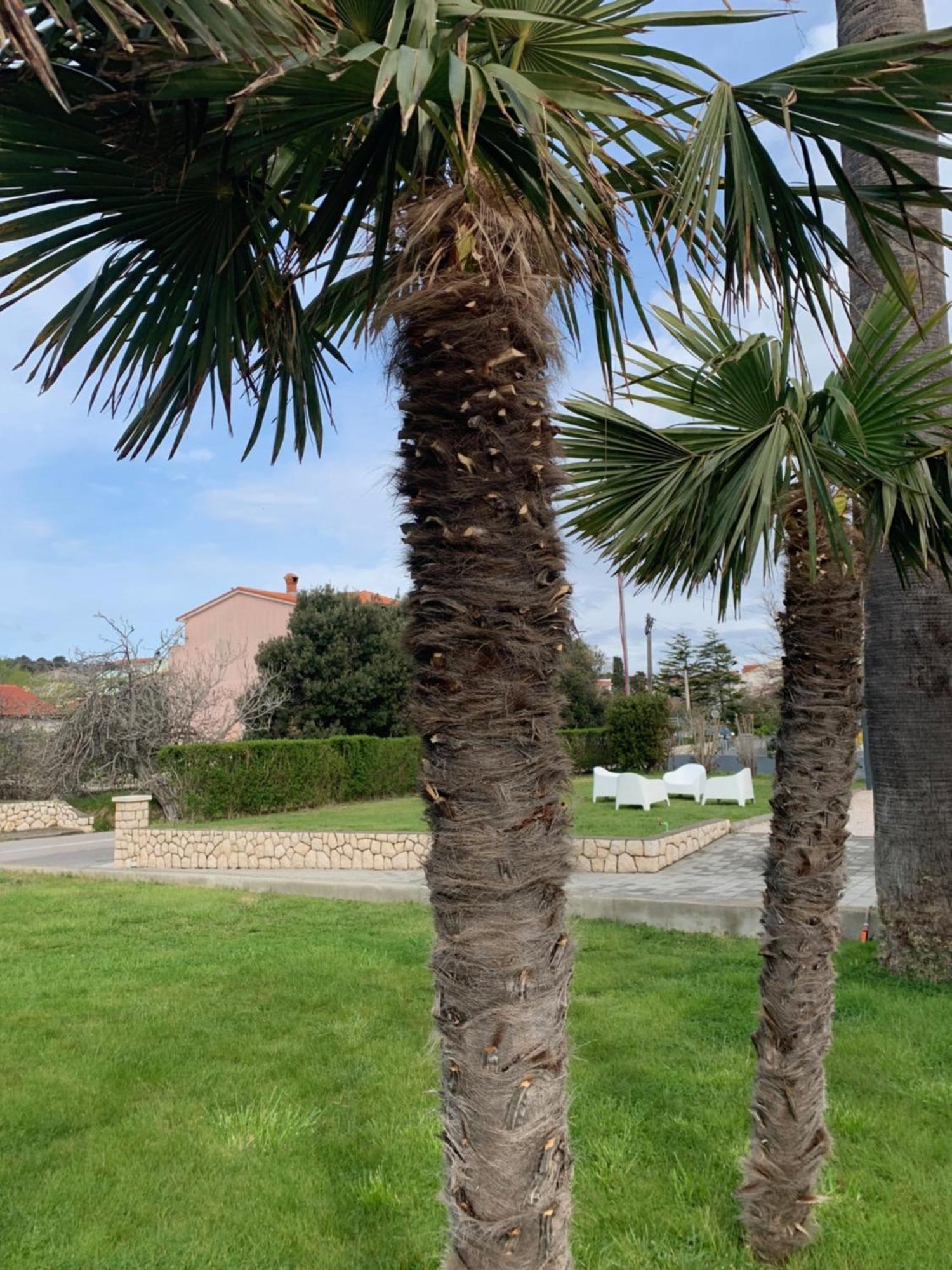Rab Island Apartmets - Palit Rab Town Bagian luar foto